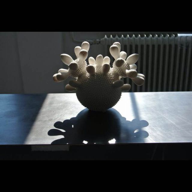 Berclaz Annick IMG_1624