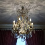 20.05.2019 | visite atelier : Drozophile